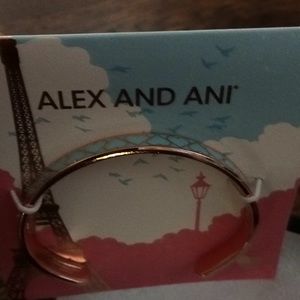 NWT Alex and Ani heart bracelet